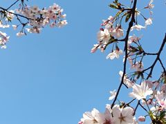 -西北湖绿化广场