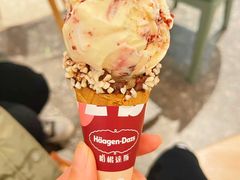 -哈根达斯(石家庄北国店)