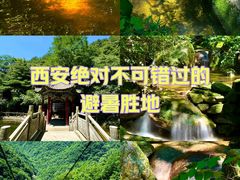 -王顺山国家森林公园