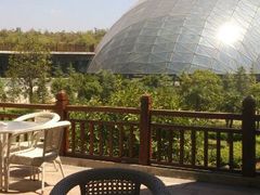 android_upload_pic-洪湖悦兮半岛国际温泉度假村
