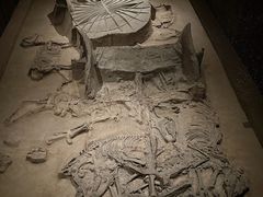 -北京大葆台遗址博物馆