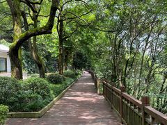 -滴水洞景区