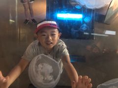 -西雅图水族馆