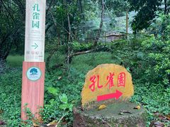 -莫里热带雨林景区