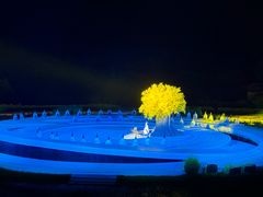 -鼎盛王朝康熙大典实景演出