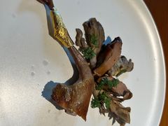 -觀芷隐轩