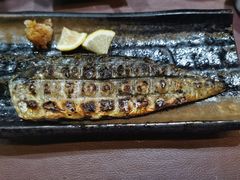 盐烤青花鱼-鸟内会(河北路店)