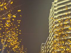 -中国宜宾·长江地标广场