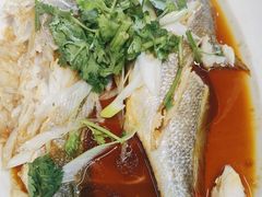 -东夷海鲜巨无霸(东夷小镇店)