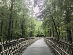 -福道