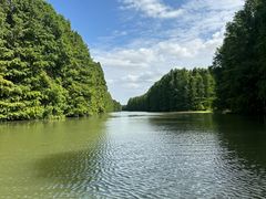 -上海海湾国家森林公园