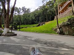 -缙云山景区
