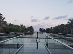 -亚龙湾喜来登·美景台大堂吧