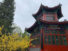 -宣武艺园