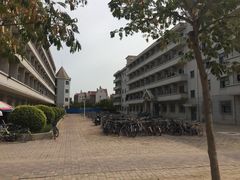 -南开大学滨海学院