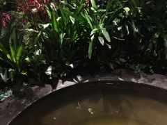 -盘锦红海温泉乐园