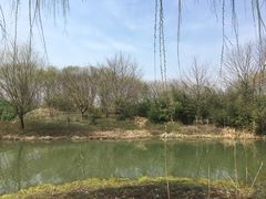 -梁鸿国家湿地公园