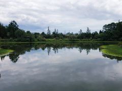 -桤木河湿地公园