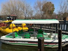 -上海长兴岛郊野公园