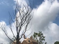 -Club Med地中海俱乐部·桂林度假村