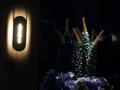 -番茄按摩·影院足道·柔足SPA