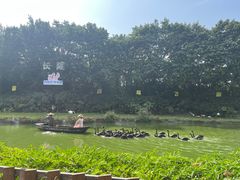-广州长隆飞鸟乐园