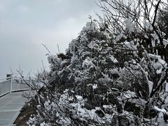 -东白山