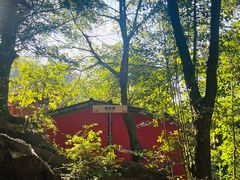 -神光山国家森林公园