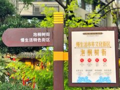 -泡桐树街