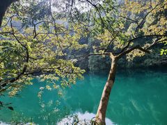 -鼎湖山风景区