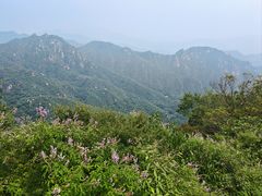 -大岭沟猕猴桃谷风景区