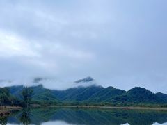 -大九湖