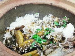 -红星光发煲仔饭(大石街店)