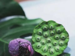 -汉艺唐风茶艺培训(联发华美空间店)