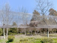 -合肥野生动物园