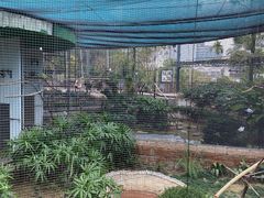 -九龙公园