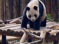-深圳野生动物园