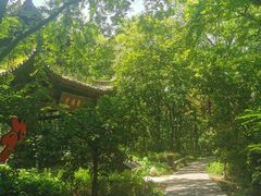 -句容茅山景区