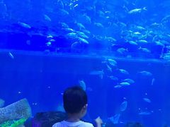 -华夏文旅海洋公园