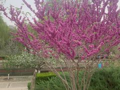 -元大都城垣遗址公园