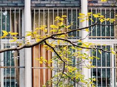 -四川美术学院美术馆