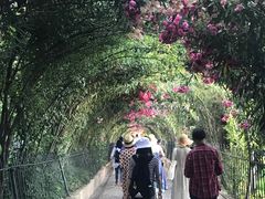 -阿尔罕布拉宫