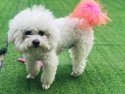 -Pink You美甲美睫纹绣定制中心