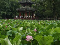 -房湖公园