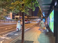 -珠江夜游省总码头