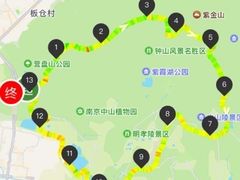 -紫金山山顶公园