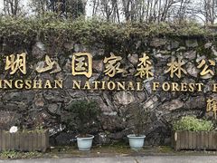 -四明山国家森林公园