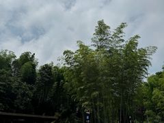 -蜀南竹海景区