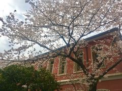 -浙江省杭州高级中学(贡院校区)