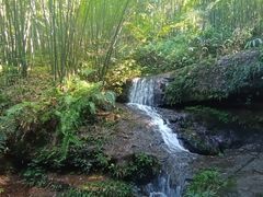 -蜀南竹海景区